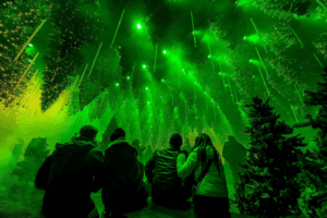 Forest Winterlights DARK MATTER Weihnachtsspecial